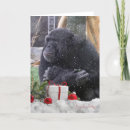 Search for gorilla christmas cards Zoo