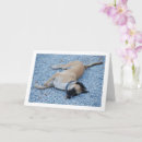 Search for cur cards Canine