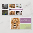 Search for wildlife business cards Photography