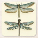 Search for dragonfly coasters Animals