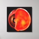 Search for lens canvas prints Eyes