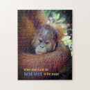 Search for orangutan puzzles Ape