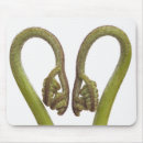 Search for cutout mouse mats Plants