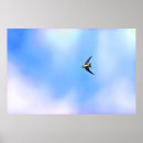 Search for swallow art Flying