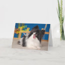 Search for papillon dog Birthday