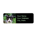 Search for maine coon return address labels Pets