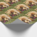 Search for golden doodle wrapping paper Dog