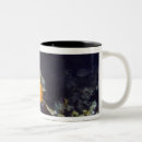 Search for sealife mugs Underwater