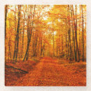 Search for way coasters Autumn