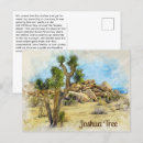 Search for mojave desert postcards Joshua tree