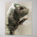 Search for chameleon posters Animal