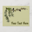 Search for larch tree postcards Nature