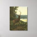 Search for wild deer canvas prints Nature