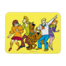 Search for character rectangular magnets Daphne