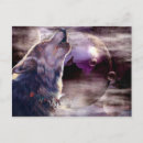 Search for indian wolf postcards Wildlife