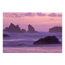 Search for remote paint Coastal