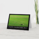Search for two cows cards Pasture