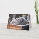 Search for bookstore cards Cat