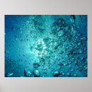 Search for water bubble posters Nature