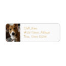 Search for corgi return address labels Dogs