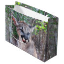 Search for puma photography Cougar