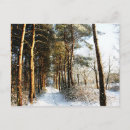 Search for snow scene postcards Nature