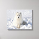 Search for snow white canvas prints Animals