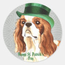 Search for cav stickers Dog