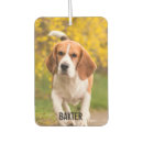 Search for dog car air fresheners Pet photo