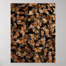 Search for monarch butterfly posters Outdoors