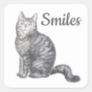 Search for grey tabby cat stickers Kitty