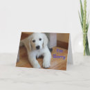 Search for cute golden retriever postcards Best friend