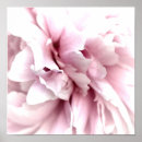 Search for macro of art Pink