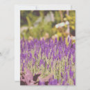 Search for lavender 7x5 invitations Flower