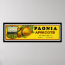 Search for labels art Fruit