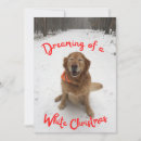 Search for dreaming of a white christmas cards Dog
