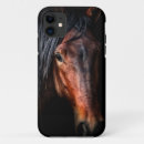 Search for shock photography Horse