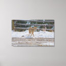 Search for hunt canvas prints Animals