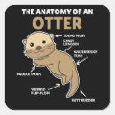 Search for cute otter stickers Animals