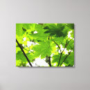 Search for raindrops canvas prints Nature