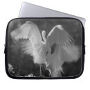 Search for great egret electronics Ardea alba