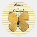 Search for yellow butterfly stickers Butterflies