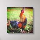 Search for farm animals canvas prints Farmhouse
