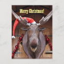 Search for moose christmas cards Happy