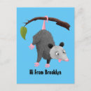 Search for funny possum postcards Cartoon