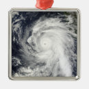 Search for southwest christmas tree decorations White