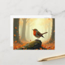 Search for robin postcards Orange