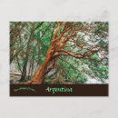 Search for parque nacional postcards Argentina