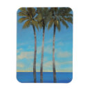 Search for tree key magnets Sea