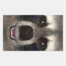 Search for animal face stickers Mammal